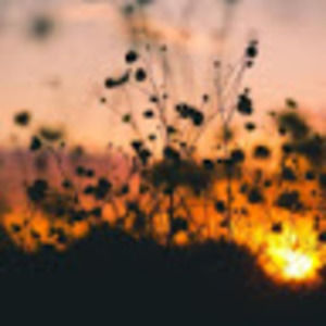 Meet your Posher, Jade